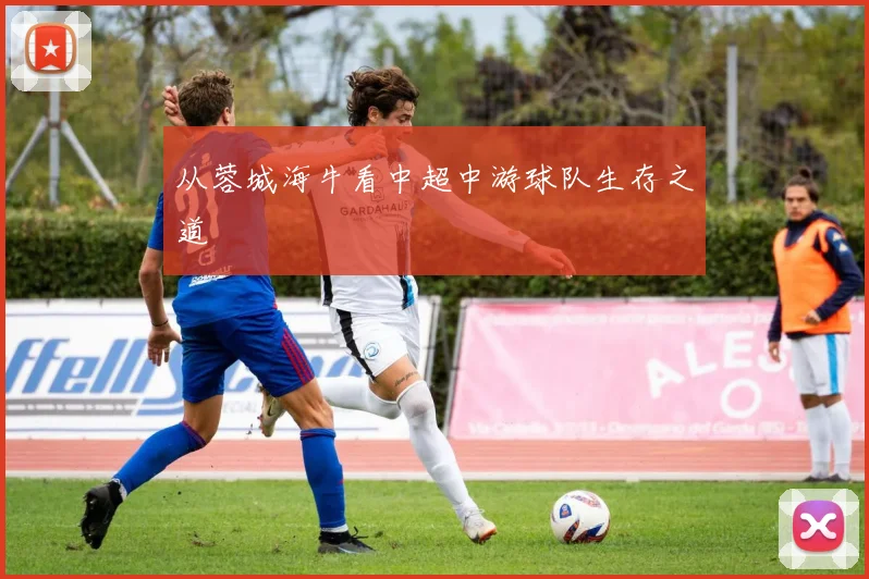从蓉城海牛看中超中游球队生存之道
